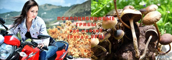 a pvp Верея
