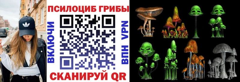 Галлюциногенные грибы MAGIC MUSHROOMS Купить Донской